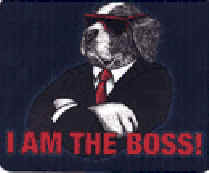 the boss dog.jpg (4942 bytes)